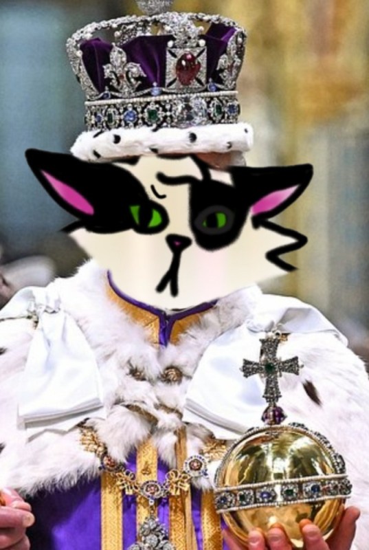 Create meme: The cat is the king, a cat with a crown, king 