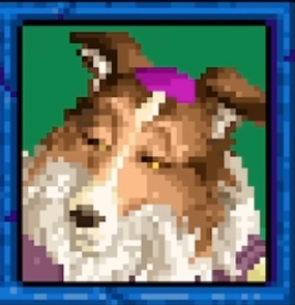 Create meme: sheltie the dog, dogs , dog breeds 