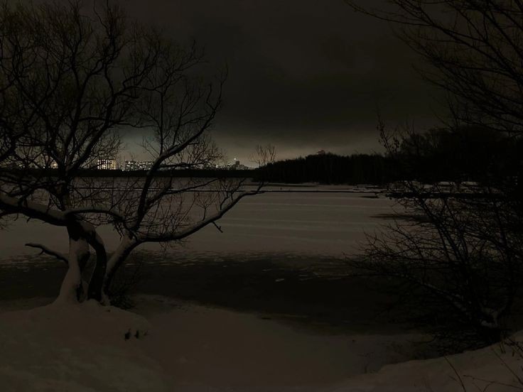 Create meme: landscape , winter landscape in black and white, winter night