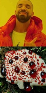 Create meme: hydnellum peck mushroom, meme of bloody tooth, bloody mushroom