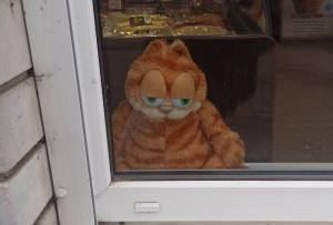 Create meme: Garfield