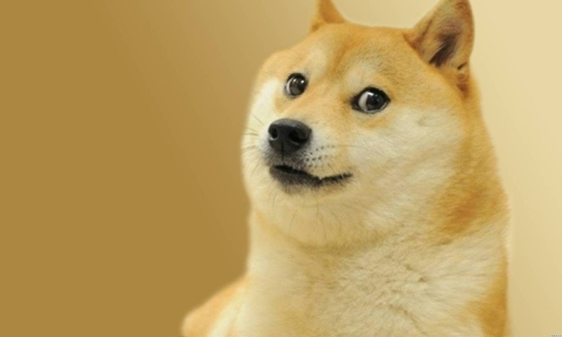 Создать мем: doge nft, doge собака, shiba inu