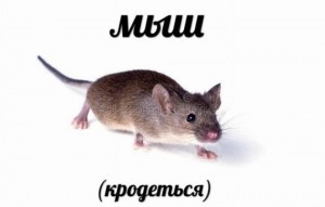 Создать мем: мышка, мем мыш, крадется мышь