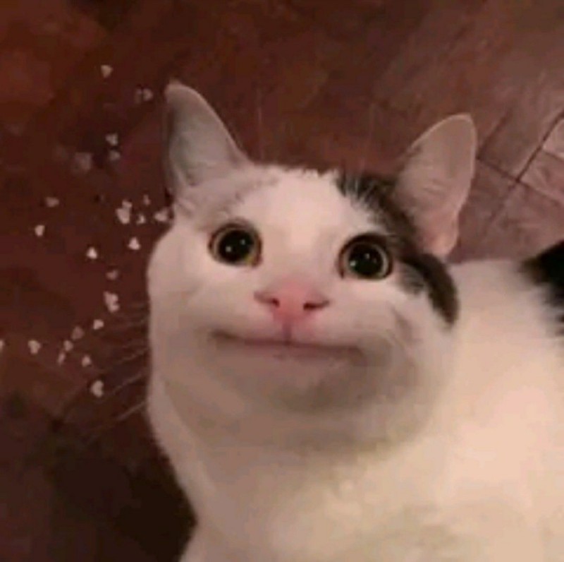 Create meme: cat meme , smiling cat meme, the cat from the meme