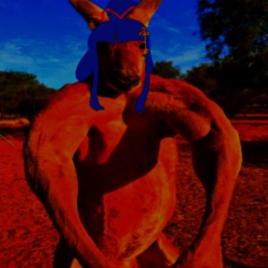 Создать мем: накаченный кенгуру, кенгуру качок, dangerous animals