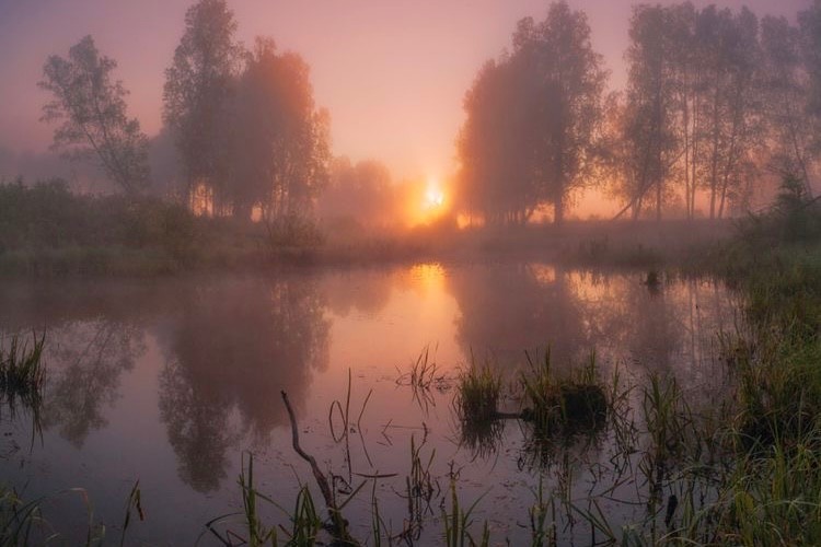 Создать мем: пейзажи красивые, пейзажи пейзажи, утро на озере