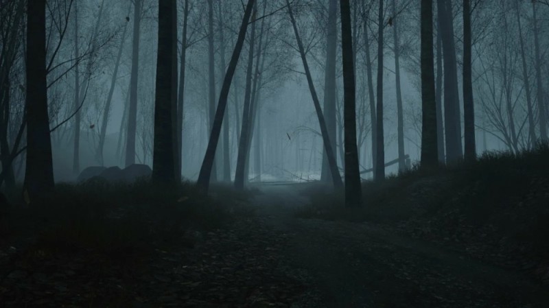 Create meme: dark dark forest, Creepy forest background, dark scary background