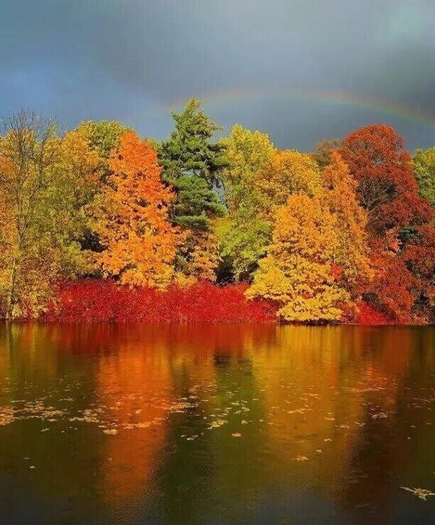 Create meme: autumn nature, beautiful nature autumn, early autumn