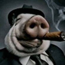 Создать мем: свинья с сигарой, свинья, морда свиньи