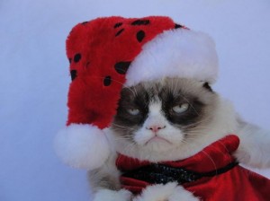 Создать мем: с др короч, с др кароч мем, grumpy cat christmas