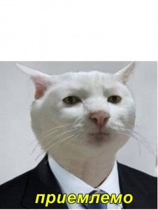 Create meme: memes, seals, cat