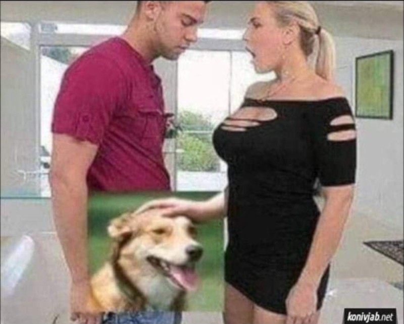 Create meme: stroking the dog, Mom, mom sex