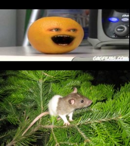 Create meme: Nedolivy orange and mouse norushka