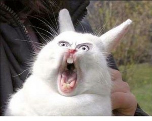 Create meme: bell meme, screaming hare, screaming rabbit bell