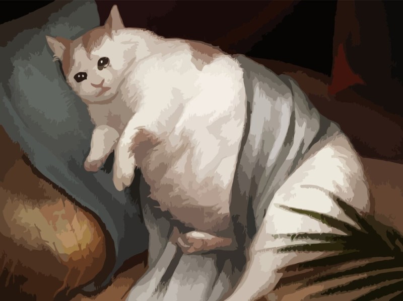 Создать мем: толстый кот, кот картина, жирный кот