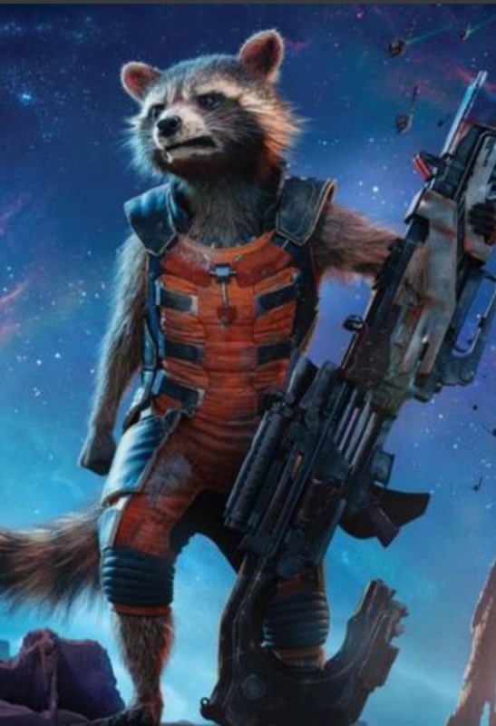 Create meme: rocket raccoon , guardians of the galaxy rocket , raccoon guardians of the galaxy 