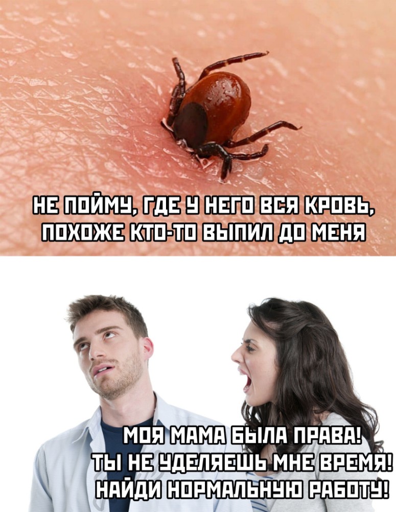 Шутки про клещей картинки