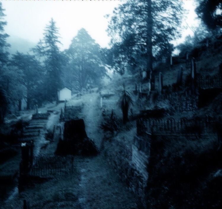 Create meme: darkness, nature , cemetery in the forest