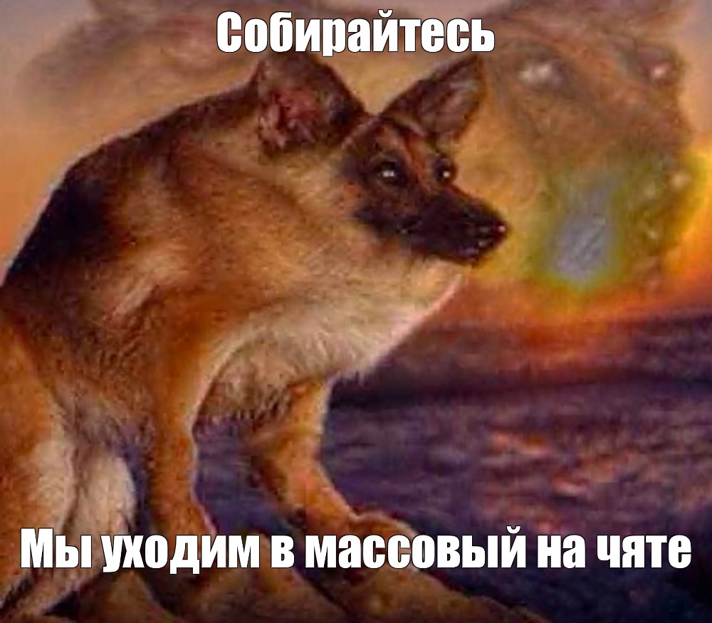 Создать мем: null