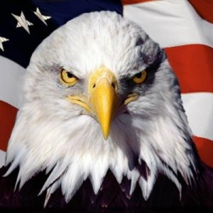 Создать мем: сша, american, usa eagle