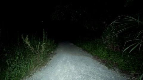 Create meme: darkness, night forest , road 
