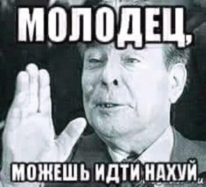 Create meme: Brezhnev approves meme, Brezhnev did not go on, I realized, Brezhnev did not go on meme