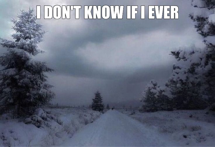 Create meme: snow road, winter , nature 