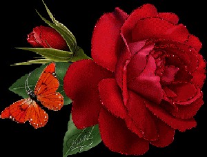 Create meme: animated gifs of the eighth of March rose, pictures flowers beautiful roses animations, flowers