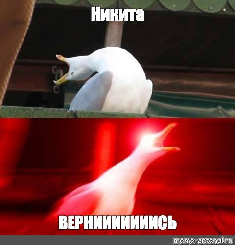 Создать мем: null