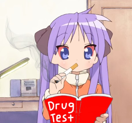 Create meme: tsukasa hiiragi, anime , Lucky star Kagami Hiiragi