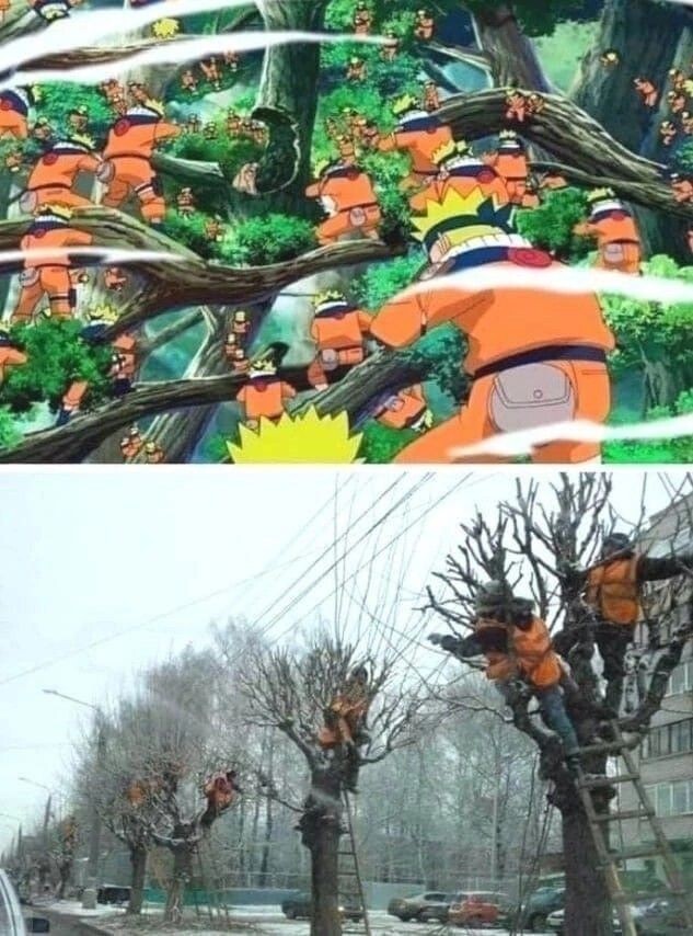 Create meme: sanitary pruning of trees, emergency tree, Cut down trees