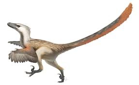 Create meme: Velociraptor is a feathered dinosaur, Deinonychus the dinosaur, velociraptor