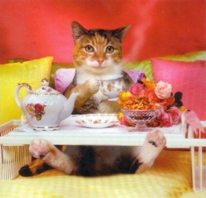 Create meme: cat, tea with sweets, good morning