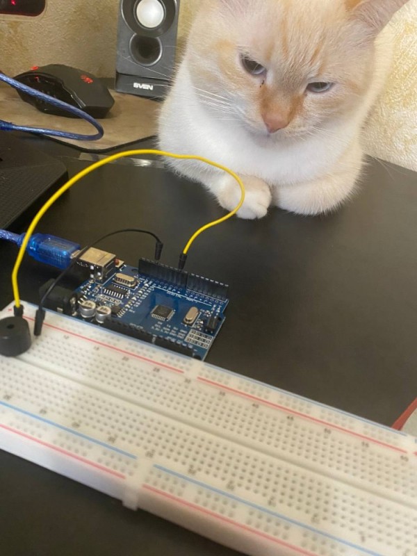 Create meme: arduino project, arduino button, kitten cat