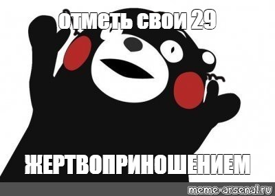 Конечно 13