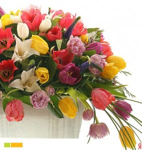 Создать мем: тюльпаны цветы, букет разноцветных тюльпанов, букет из тюльпанов