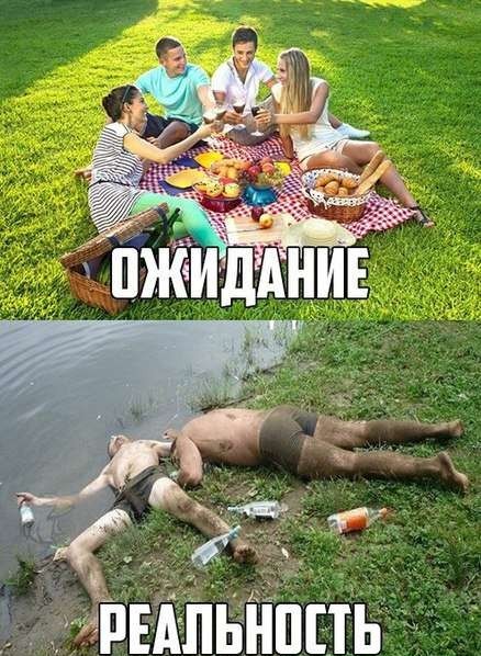 Create meme: barbecue in nature humor, jokes about summer, selection of jokes 