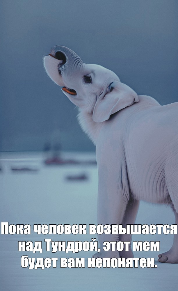 Создать мем: null