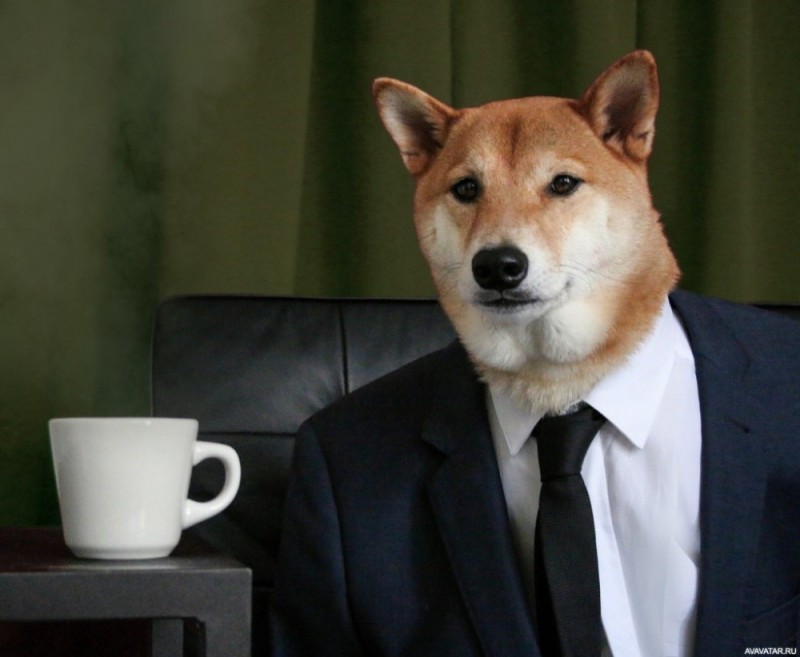 Создать мем: doge шутка, собака босс, shiba inu собака