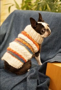 Создать мем: порода бостон терьер, свитер для собаки, вязаная одежда для собак
