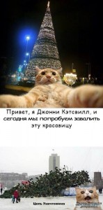 Create meme: hi johnny, new year cat and the tree, the cat dropped the tree pictures