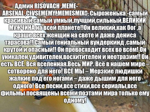 Нутрия картинка для детей