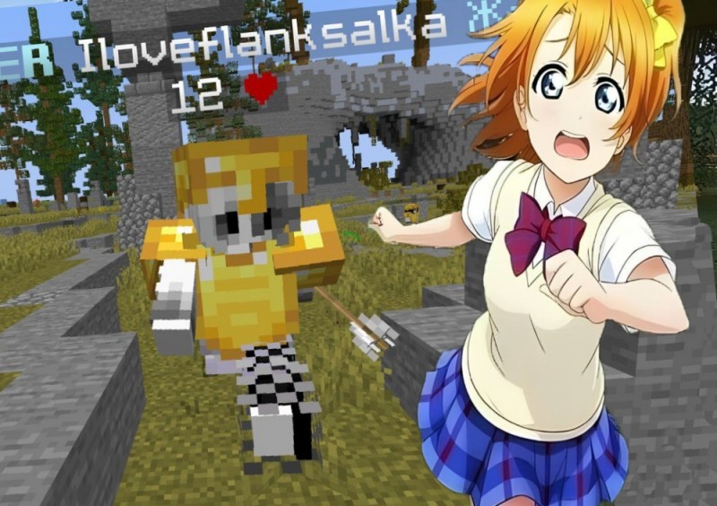 Create meme: minecraft online, a girl in minecraft, minecraft girls