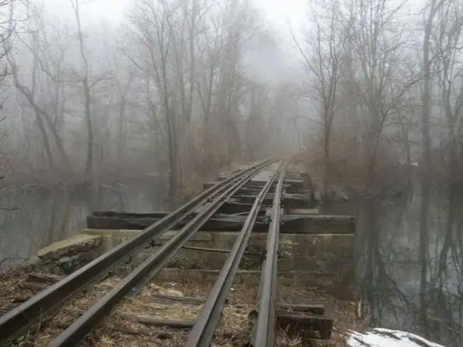 Create meme: railway tracks, railroad , railway in the forest