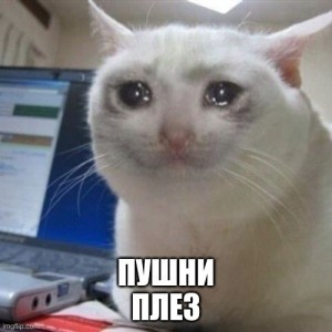 Create meme: serious cat meme, sad cat meme, crying cat meme