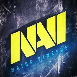 Create meme: picture Navi cs go for steam, Navi logo, navi logo