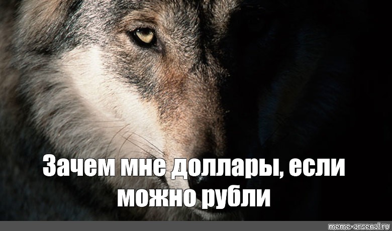 Волк обиделась. Мемы с волками. Волк брат Мем. Волк одиночка Мем мужик сам себя. Волк Мем с днем рождения.