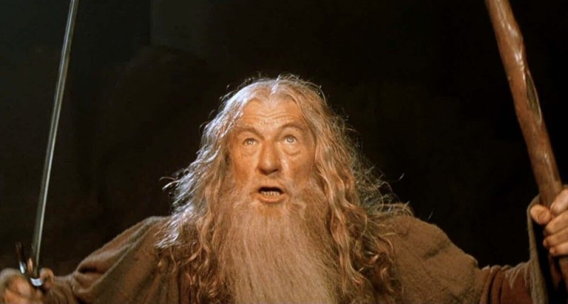 Create meme: Gandalf from Lord of the rings, Gandalf run you fools, the Lord of the rings Gandalf