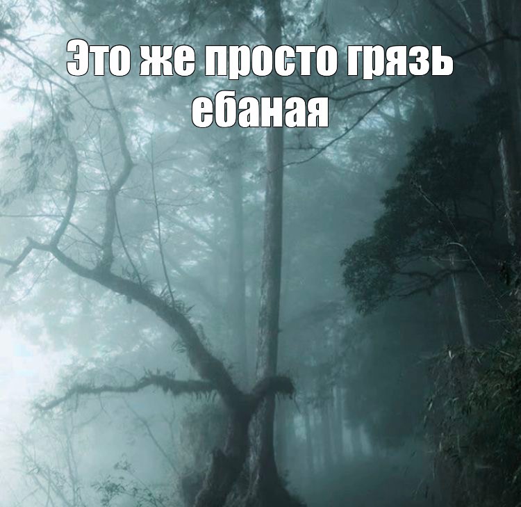 Create meme: the trick , nature trees, nature forest 