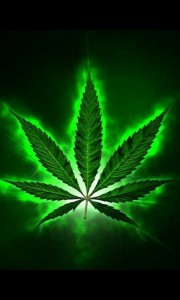Create meme: cannabis leaf, art marijuana, marijuana